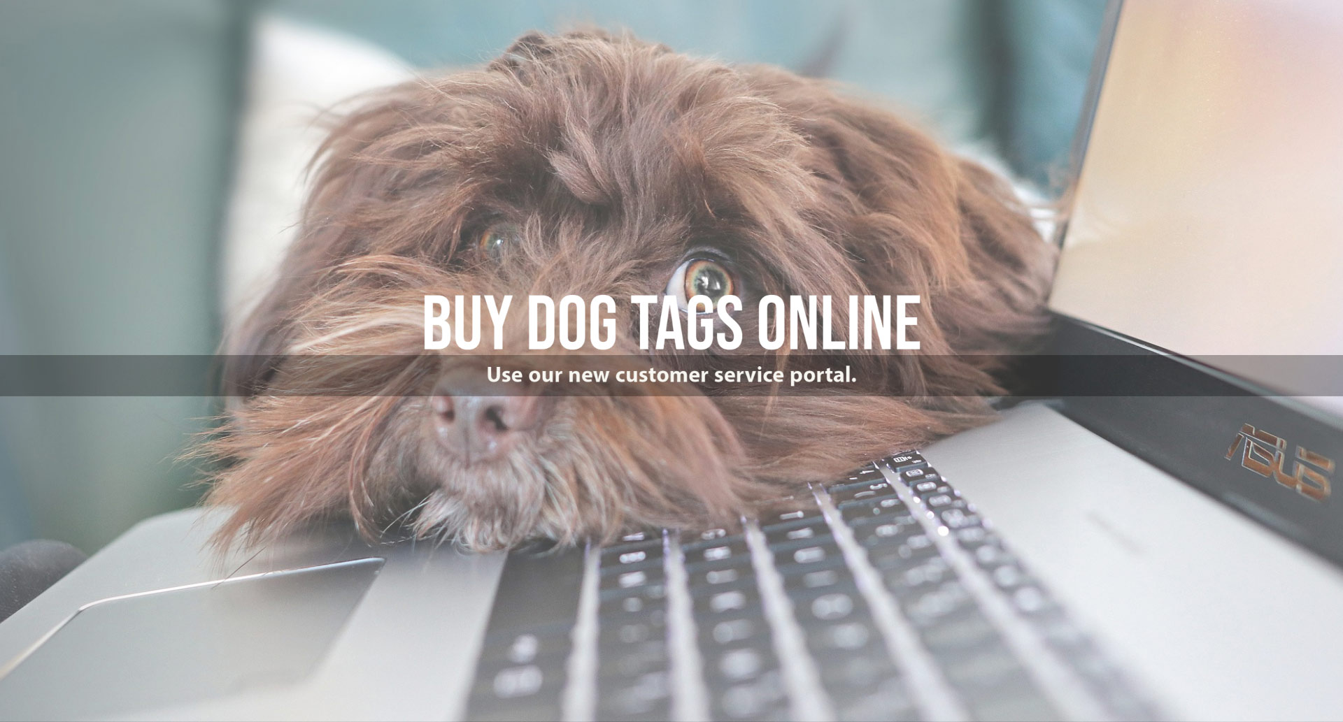 homepage dog tags online