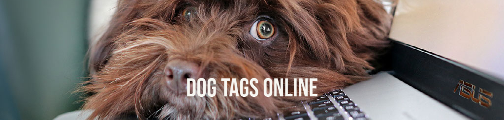 dog tags random image